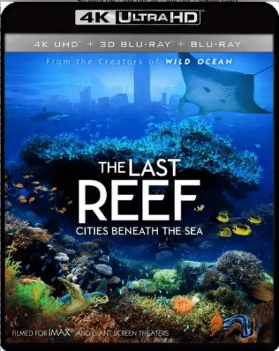 The Last Reef 4K 2012