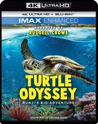 Turtle Odyssey 4K 2019