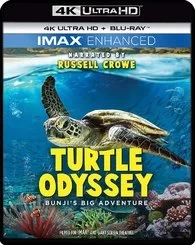 Turtle Odyssey 4K 2019