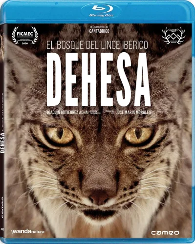 Dehesa: El bosque del lince ibérico 2020